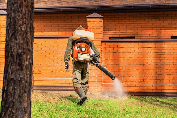 Bed Bug Clearance Verification and Documentation in Burton